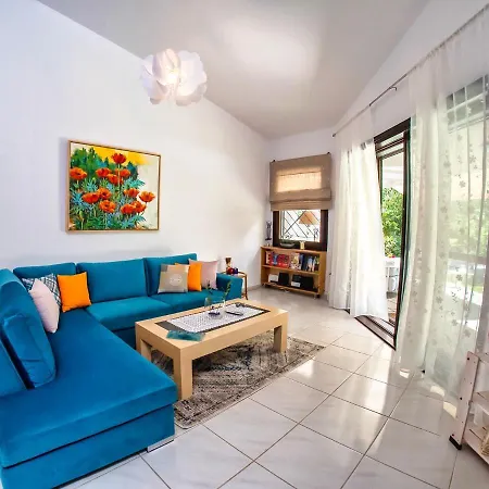 فيلة Sani Lili 7