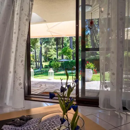 فيلة Sani Lili 7