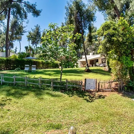 Villa Sani Lili 7 Sani (Chalkidiki)