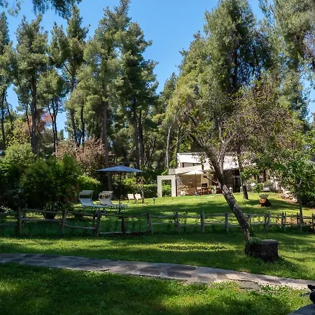 Sani Lili 7 * Sani (Chalkidiki)