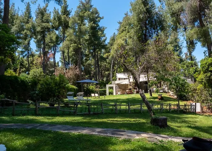 Sani Lili 7 * Sani (Chalkidiki)